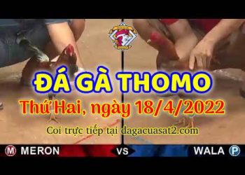 dagacuasat thang4-2022 (18)