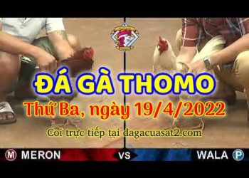 dagacuasat thang4-2022 (19)