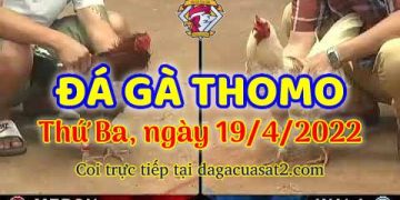 dagacuasat thang4-2022 (19)