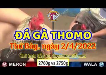 dagacuasat thang4-2022 (2)