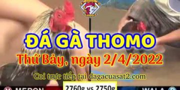 dagacuasat thang4-2022 (2)