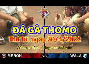 dagacuasat thang4-2022 (20)