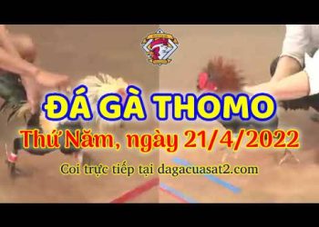 dagacuasat thang4-2022 (21)