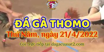 dagacuasat thang4-2022 (21)