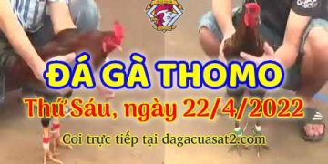 dagacuasat thang4-2022 (22)