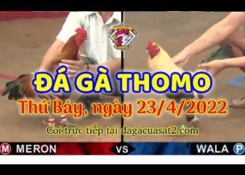 dagacuasat thang4-2022 (23)