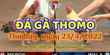 dagacuasat thang4-2022 (23)