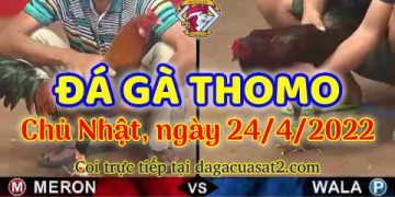 dagacuasat thang4-2022 (24)