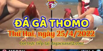 dagacuasat thang4-2022 (25)