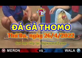 dagacuasat thang4-2022 (26)