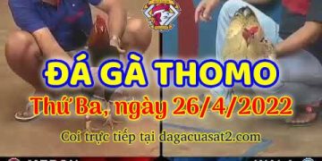 dagacuasat thang4-2022 (26)