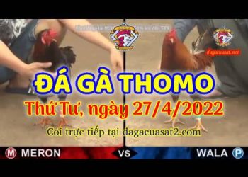 dagacuasat thang4-2022 (27)