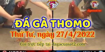 dagacuasat thang4-2022 (27)