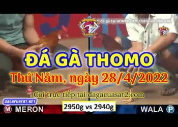 dagacuasat thang4-2022 (28)