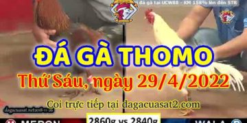 dagacuasat thang4-2022 (29)