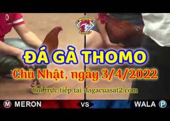 dagacuasat thang4-2022 (3)