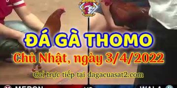dagacuasat thang4-2022 (3)