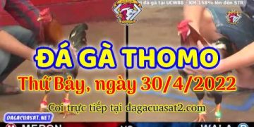 dagacuasat thang4-2022 (30)