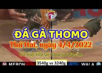 dagacuasat thang4-2022 (4)