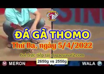 dagacuasat thang4-2022 (5)