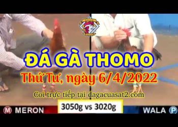 dagacuasat thang4-2022 (6)