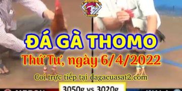 dagacuasat thang4-2022 (6)