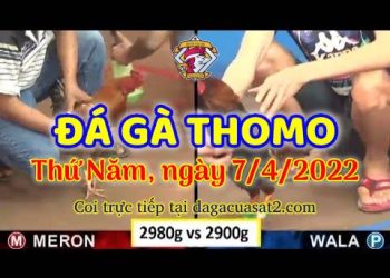 dagacuasat thang4-2022 (7)