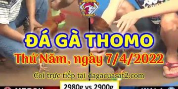 dagacuasat thang4-2022 (7)