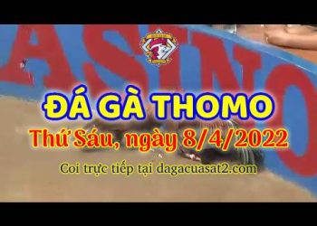 dagacuasat thang4-2022 (8)