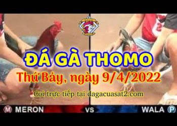 dagacuasat thang4-2022 (9)