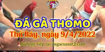 dagacuasat thang4-2022 (9)