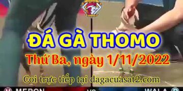 da ga cua sat thang 11-2022 (1)