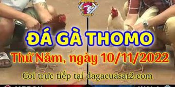 da ga cua sat thang 11-2022 (10)