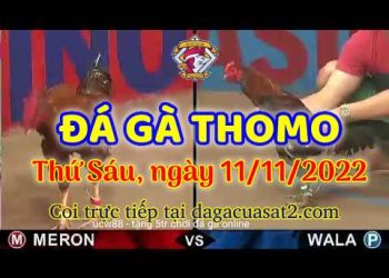 da ga cua sat thang 11-2022 (11)