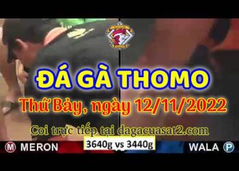 da ga cua sat thang 11-2022 (12)