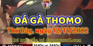 da ga cua sat thang 11-2022 (12)