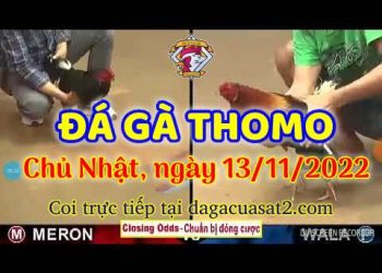 da ga cua sat thang 11-2022 (13)