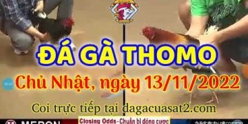 da ga cua sat thang 11-2022 (13)