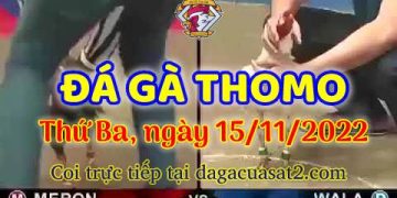 da ga cua sat thang 11-2022 (15)
