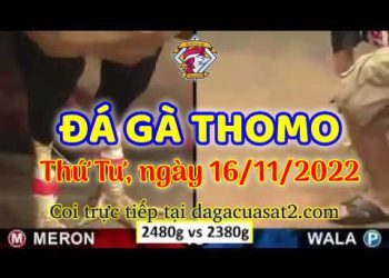 da ga cua sat thang 11-2022 (16)