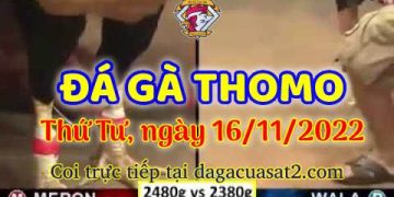 da ga cua sat thang 11-2022 (16)
