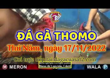 da ga cua sat thang 11-2022 (17)