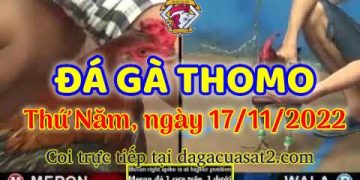 da ga cua sat thang 11-2022 (17)