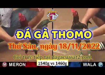 da ga cua sat thang 11-2022 (18)