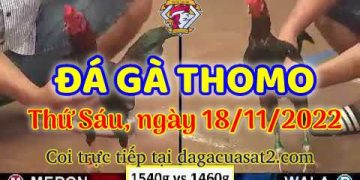 da ga cua sat thang 11-2022 (18)