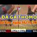 da ga cua sat thang 11-2022 (18)