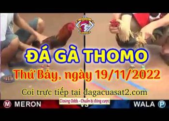 da ga cua sat thang 11-2022 (19)