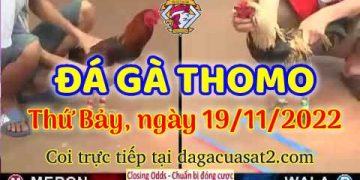 da ga cua sat thang 11-2022 (19)