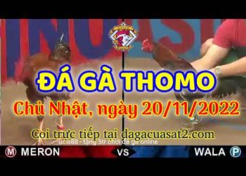 da ga cua sat thang 11-2022 (20)