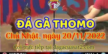 da ga cua sat thang 11-2022 (20)